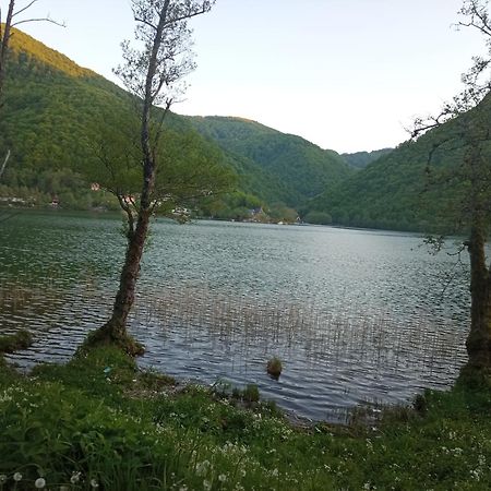 Apartman Relax In Nature Яйце Екстер'єр фото