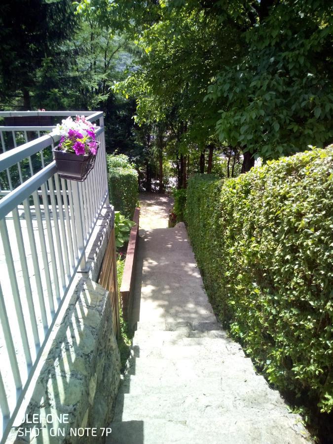 Apartman Relax In Nature Яйце Екстер'єр фото